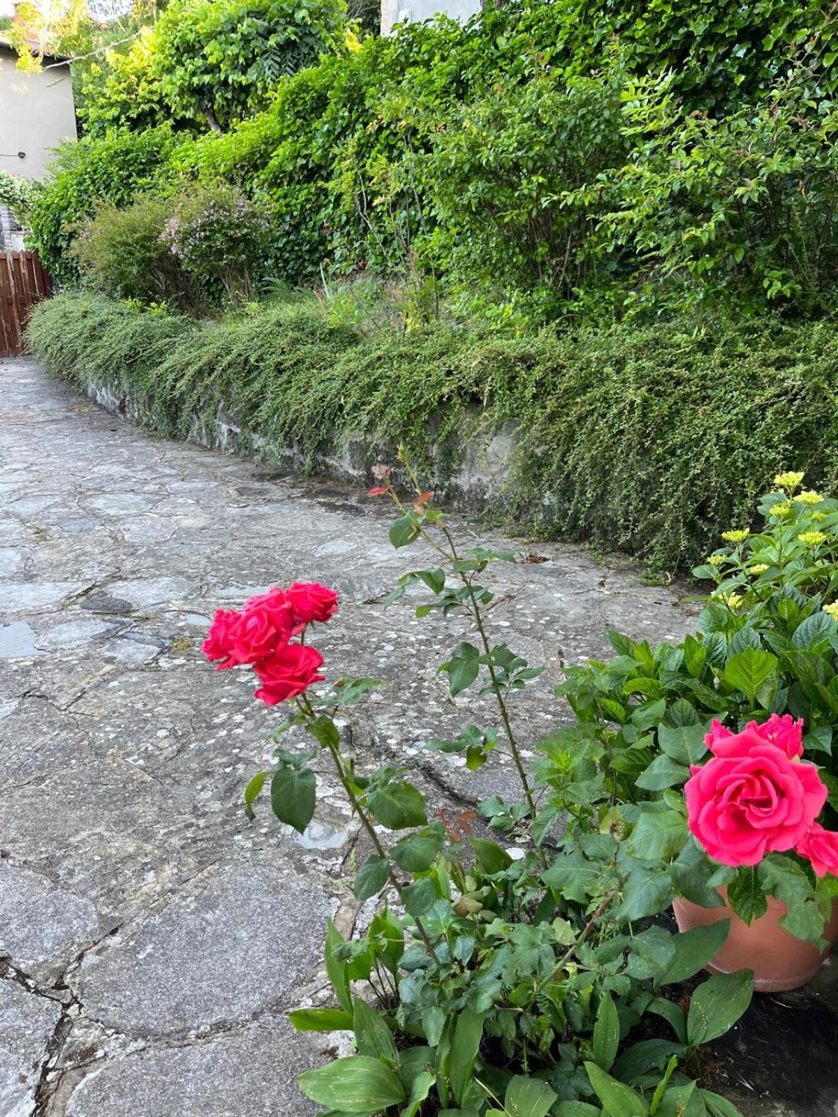 Casa Lastri ポッピ エクステリア 写真